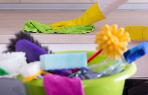 Domestic cleaning services for Battersea homes with local property types and access needs