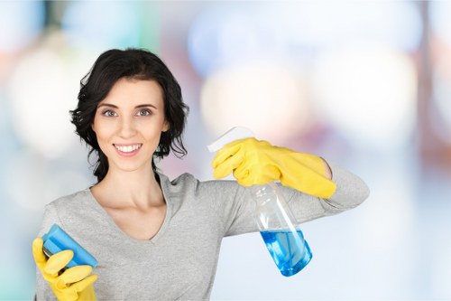 Local window cleaning service for Battersea terraces and apartments
