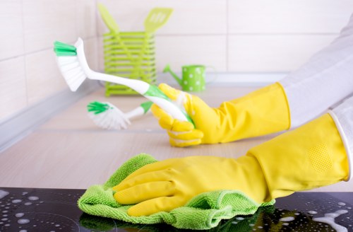 Fresh and organised Battersea space after professional cleaning