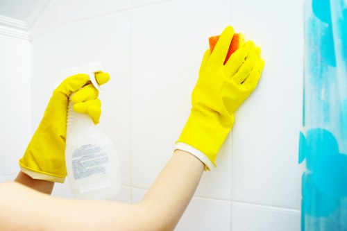 Professional gutter cleaning for Battersea homes and businesses
