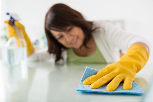 Pet stain and odour removal service for Battersea homes and rentals