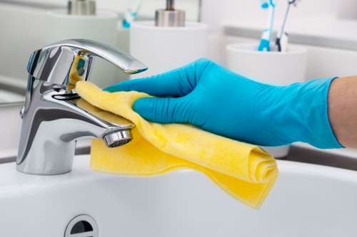 Local Battersea technician treating a stubborn pet smell in a home