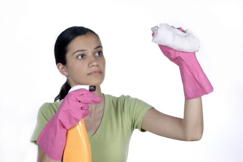 Professional cleaner treating upholstered furniture in Battersea