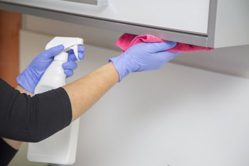Detailed cleaning care for a Battersea home or office